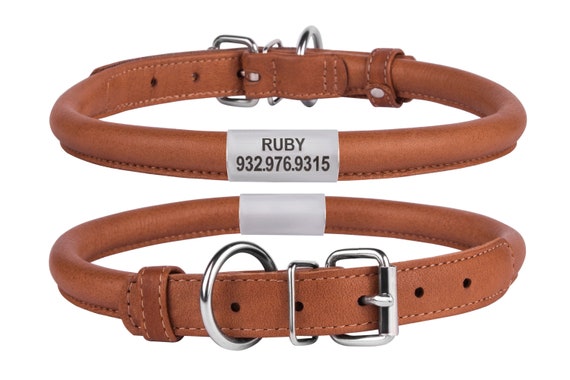 leather tag collar
