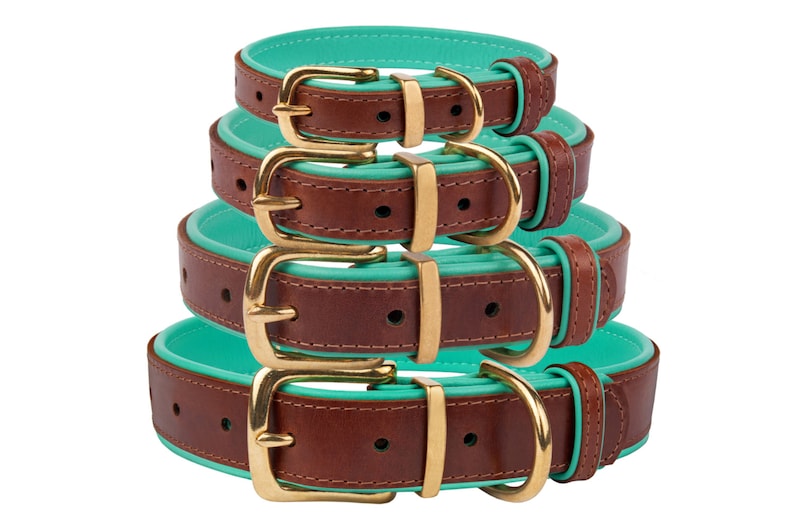 Leather Dog Collar With Laser Engraved Name Plate Etsy