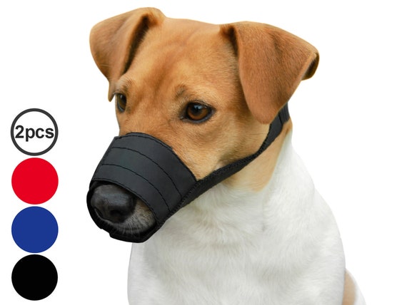 small dog muzzle