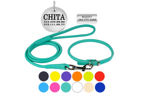 leather puppy collar and lead