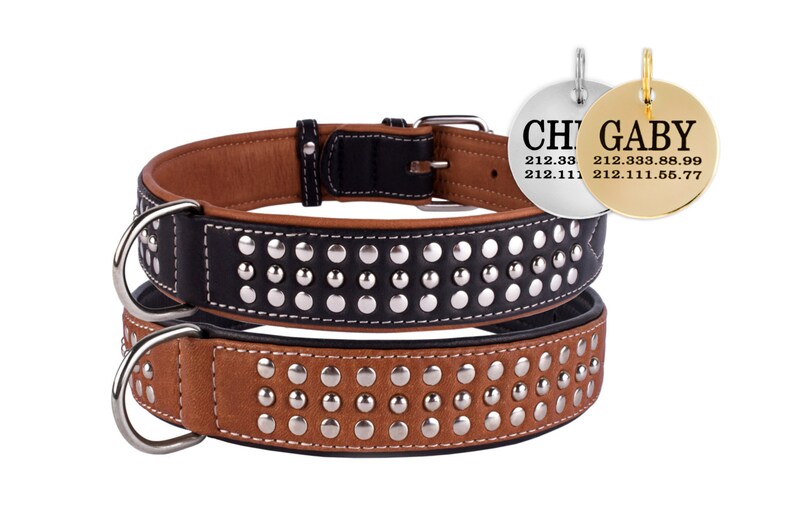Spiked Dog Collar Leather Personalized ID Tag Soft Small Medium Large