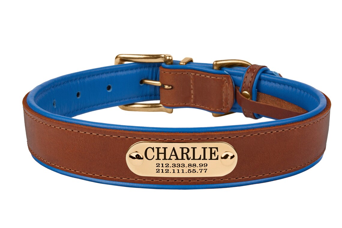Dog Collar Nameplate Tag Personalized Brass or Stainless Steel Etsy