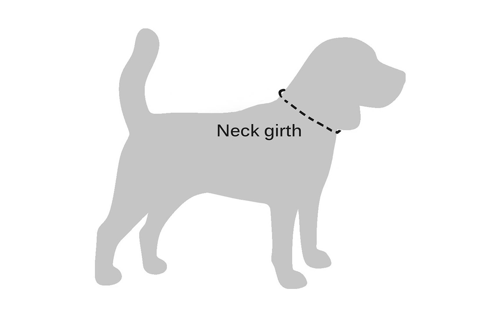 Rolled Leather Dog Collar Dog Collar Leather Engraved Dog Etsy