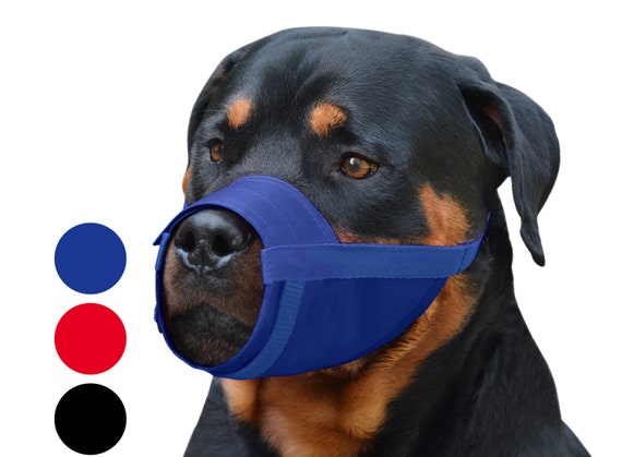Nylon Dog Muzzle Rottweiler Cane Corso Saint Bernard Newfoundland Secure Adjustable Black Blue Red
