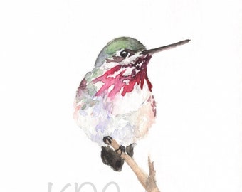 Watercolor Hummingbird Print - Bird Painting