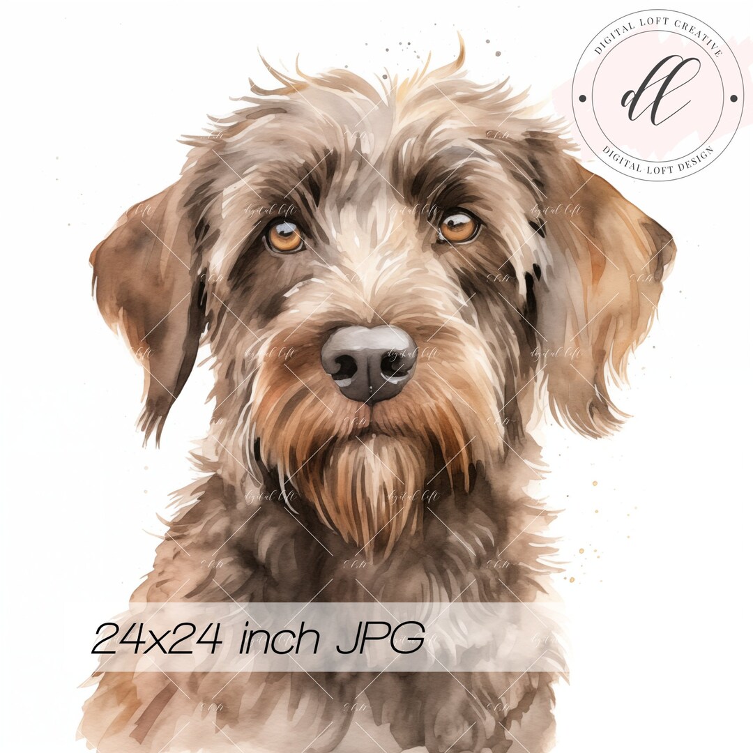 Pointing Griffon Dog Portrait, Watercolor Brown Dog Illustration