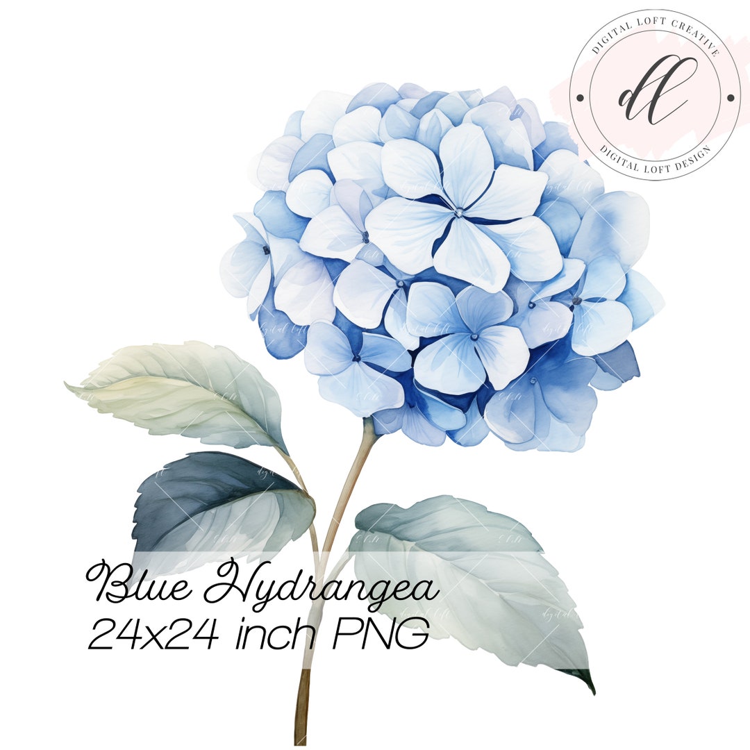 Blue Hydrangea Single Stem PNG Digital Art Print Printable Wall Art ...