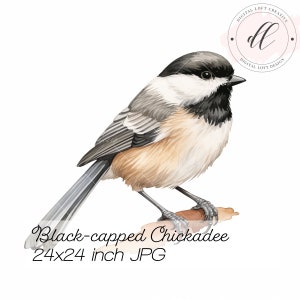 Printable Chickadee Artwork, Digital Download Bird Illustration, Nature-Inspired Home Office Decor, Wildlife Art Print, Unique Wall Art JPG