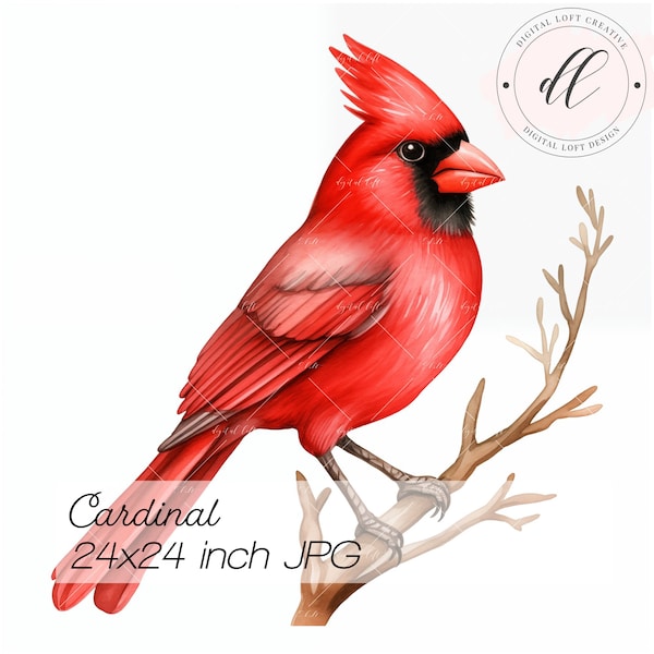 Red Cardinal Bird Digital Art Print, Vibrant Wildlife Illustration, Home Decor Wall Art, Nature Inspired Printable, Bird Watcher Gift Idea