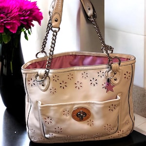 Y2K Coach Poppy Wristlet: Light Pink Patent Leather, Leopard