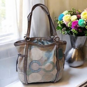 Y2k Coach - Etsy Canada