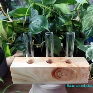 Propagation Station Wood Oak or Poplar / Test tube Plant cutting station / Rooting Vase / Plants Cuttings Growing Stand Planter Unique