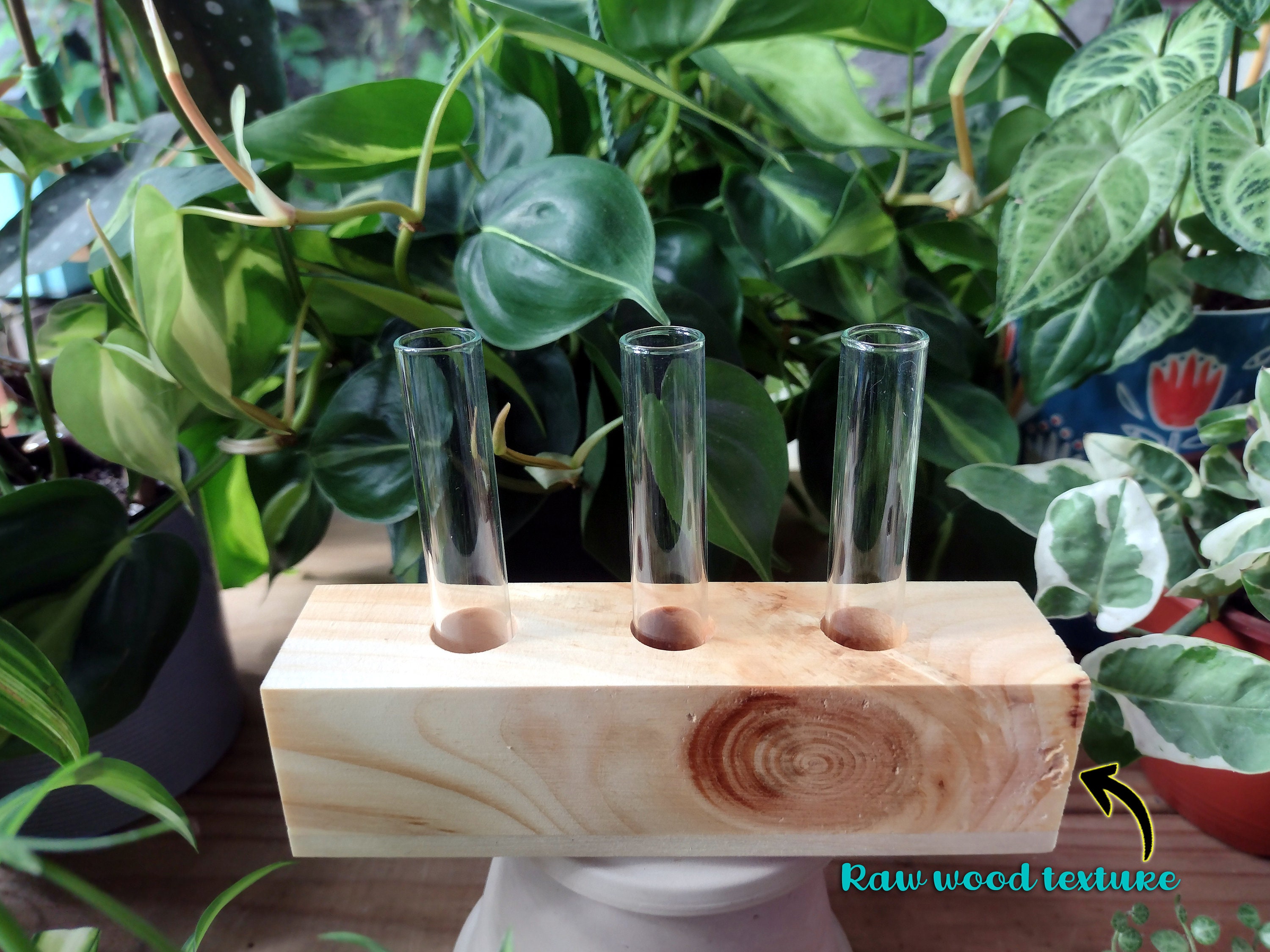  Plant Propagation Station with Cute Wooden Stand – Plant Jars  with Plant Propagation Tubes - Premium Handcrafted Glass Planter –  Propagation Vase for Plant Lovers - Made in USA (3x3 