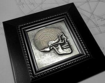 Phrenology Skull : hand embossed anatomical repoussé metal wall art