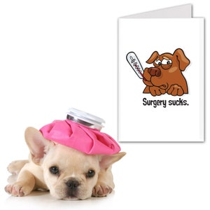 Printable Funny Card for Furry Friends, Dogs, Pets, Surgery, Funny, spay, neuter, Procedure, Get Well, 5x7 or 8.5x5.5 Card, Instant Download