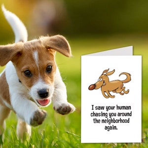 Printable Funny Card for Furry Friends, Dogs, Pets, Chase, Funny, Friendship, Entertain, Cars, Joke, 5x7 or 8.5x5.5 Card, Instant Download