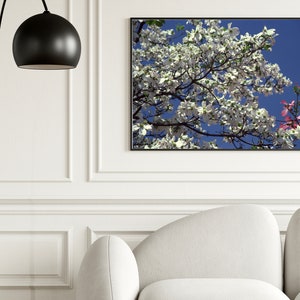 Blooming Tree Photography Art, Digital Downloadable Wall Art, Trendy Décor, Tree Full of White Blooms Against Blue Sky, Poster, Wall Décor image 2