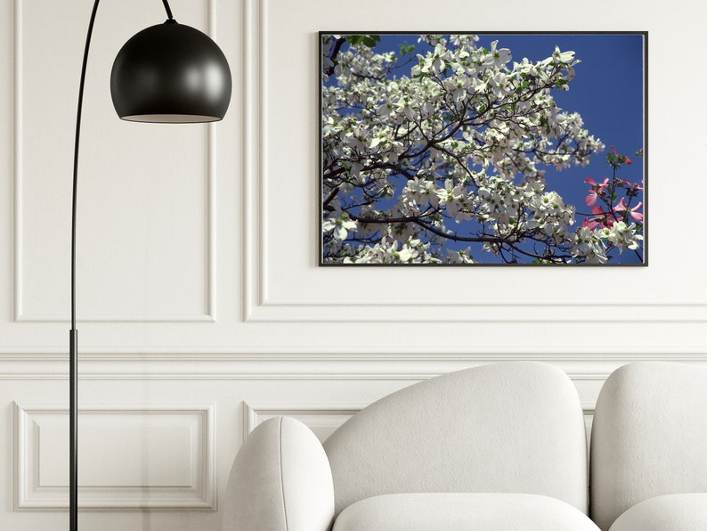 Blooming Tree Photography Art, Digital Downloadable Wall Art, Trendy Décor, Tree Full of White Blooms Against Blue Sky, Poster, Wall Décor image 2