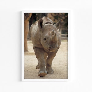 Rhino Photography Art, Digital Downloadable Wall Art, Trendy Décor, Image of Rhino Walking in Sandy Zoo Habitat, Safari Animal