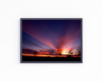 Purple Dawn Landscape Photography Art, Digital Downloadable Wall Art, Trendy wystrój, Day Breaks Over Barren Trees, Early Dawn Room Decoration