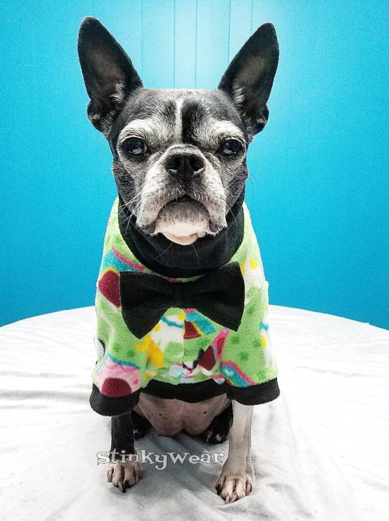 Clearance Pups at the park bark sweater