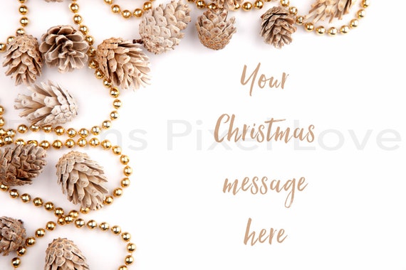 Styled Stock Mockup Photography Styled Background Bleached Pine Cones