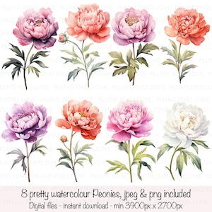8 fleurs de pivoine à l'aquarelle, fond transparent, cliparts, JPG et PNG de haute qualité, téléchargement numérique, créations en papier, journaux indésirables