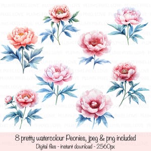 8 fleurs chinoises à l'aquarelle, fond transparent, cliparts, JPG et PNG de haute qualité, téléchargement numérique, créations en papier, journaux indésirables
