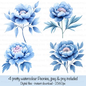 Aquarelle de 4 fleurs chinoiseries, fond transparent, cliparts, JPG et PNG de haute qualité, téléchargement numérique, créations en papier, journaux indésirables