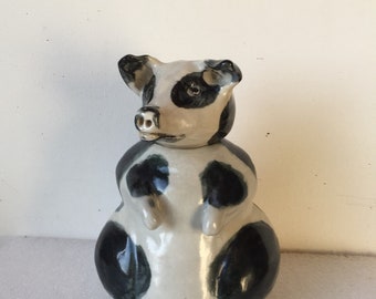 Pot bellied Pig Piggy Bank