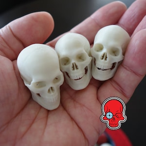 Extra Small Human Skull Accurately Detailed 3D Printed 1:6 Scale Realistic Model For Displays and Miniature Dioramas