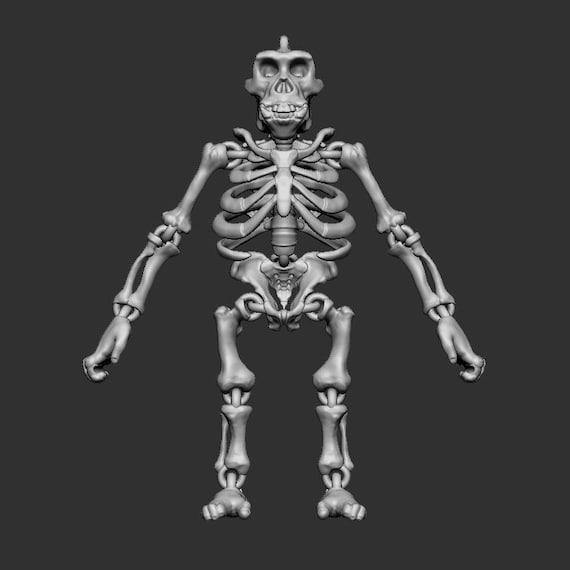 Unique Fully Articulated Gorilla Skeleton 3D Print-in-place STL
