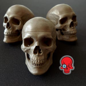 Metal Composite Mini Human Skull Accurately Detailed 3D Printed 1:4 Scale Beautiful Model For Sketching Or PillBox Storage
