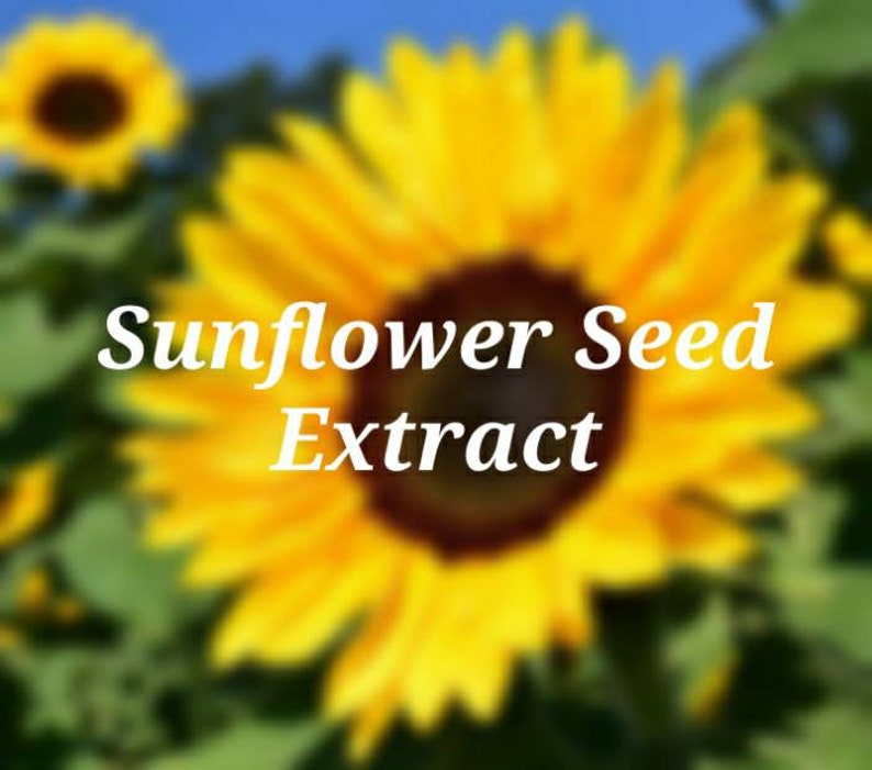 Sunflower Seed Extract tincture vegan vitamin D vitamin E Etsy