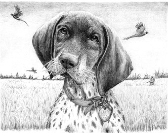 May include: A black and white German Shorthaired Pointer dog with brown eyes and a black collar with a tag that says "Lucky". The dog is standing in a field of tall grass with three pheasants flying in the background.