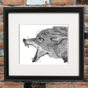 Coyote Snarl Wildlife Art signé par Artist Print, Southworth Heavy Linen Paper