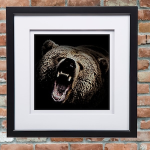 Angry Grizzly Print, Stand Alone, Framed or Printed on Canvas