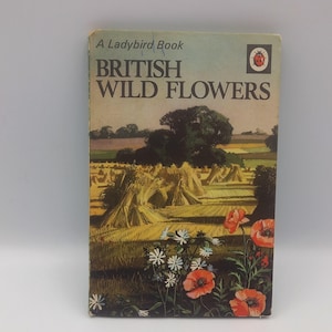 Vintage Ladybird Book of British Wild Flowers, illustrated by Roland and Edith Hilder. Series 536.