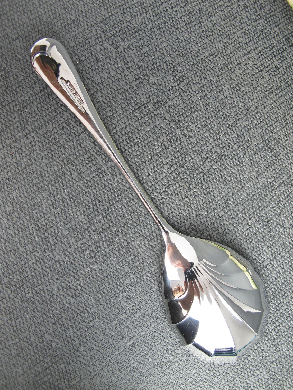 Vintage boxed set of dessert spoons. Stainless chromium plate Etsy