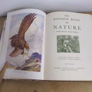 The Wonder Book of Nature. Vintage children&#39;s book. Lovely illustrations!