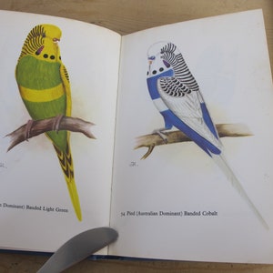 Budgerigars in colour - their care and breeding by A Rutgers edited by Cyril Rogers. 68 colour plates of budgies! 1973 edition
