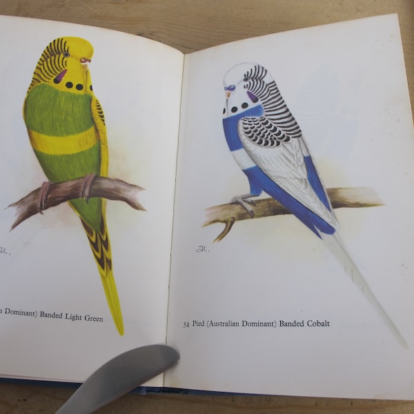 Budgerigars in colour - their care and breeding by A Rutgers edited by Cyril Rogers. 68 colour plates of budgies! 1973 edition