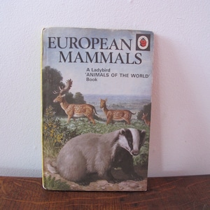 Vintage early Ladybird book European mammals. Series 691, published in 1971