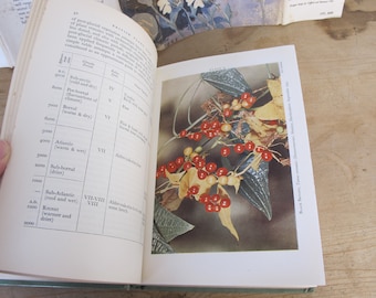 May include: A close-up of a book page with a table and a picture of a plant with red berries. The table shows different climate zones and their corresponding plant types. The text on the page reads "British Plant Life".