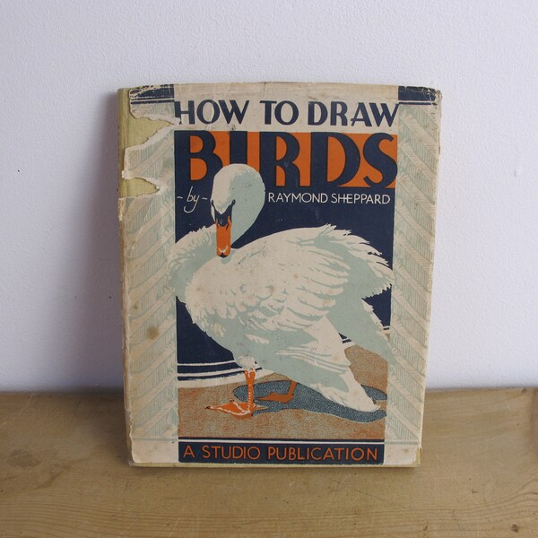 How to Draw Birds Etsy
