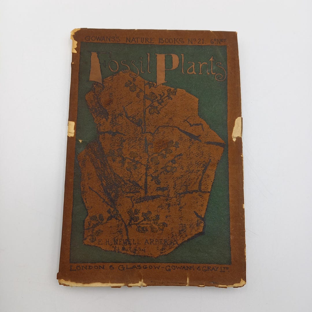 希少 レア アメリカンヴィンテージ アンティーク 野生植物図鑑 希少