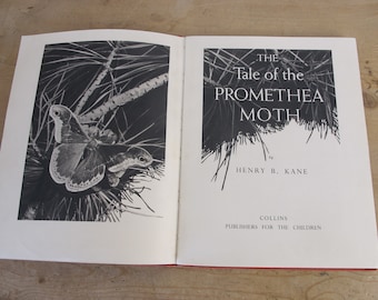 The Tale of the Promethea Moth by Henry B Kane. Vintage childrens book about the lifecycle of a moth. 1947 - Great photos!