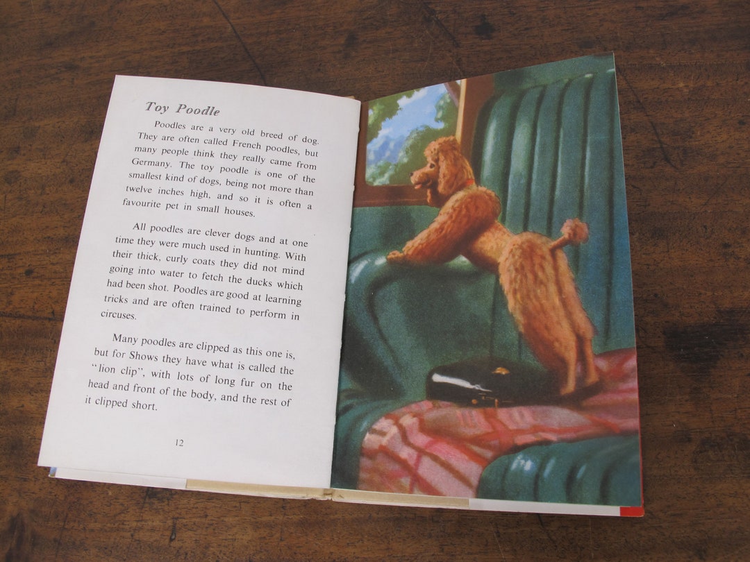 Vintage Early Ladybird Book of Pets by George Cansdale. Series 536 ...