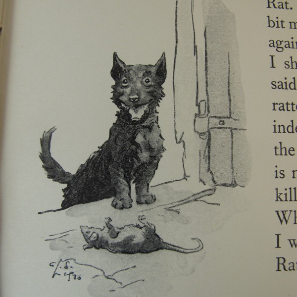 Vintage book. Thy Servant a Dog - Told by Boots - edited by Rudyard Kipling. Fabulous illustrations. The adventures of a small black dog.