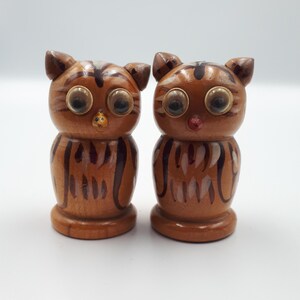 Vintage owl cruet set. Cute wooden owls with googly eyes - handpainted bird cruet set - cottagecore home decor